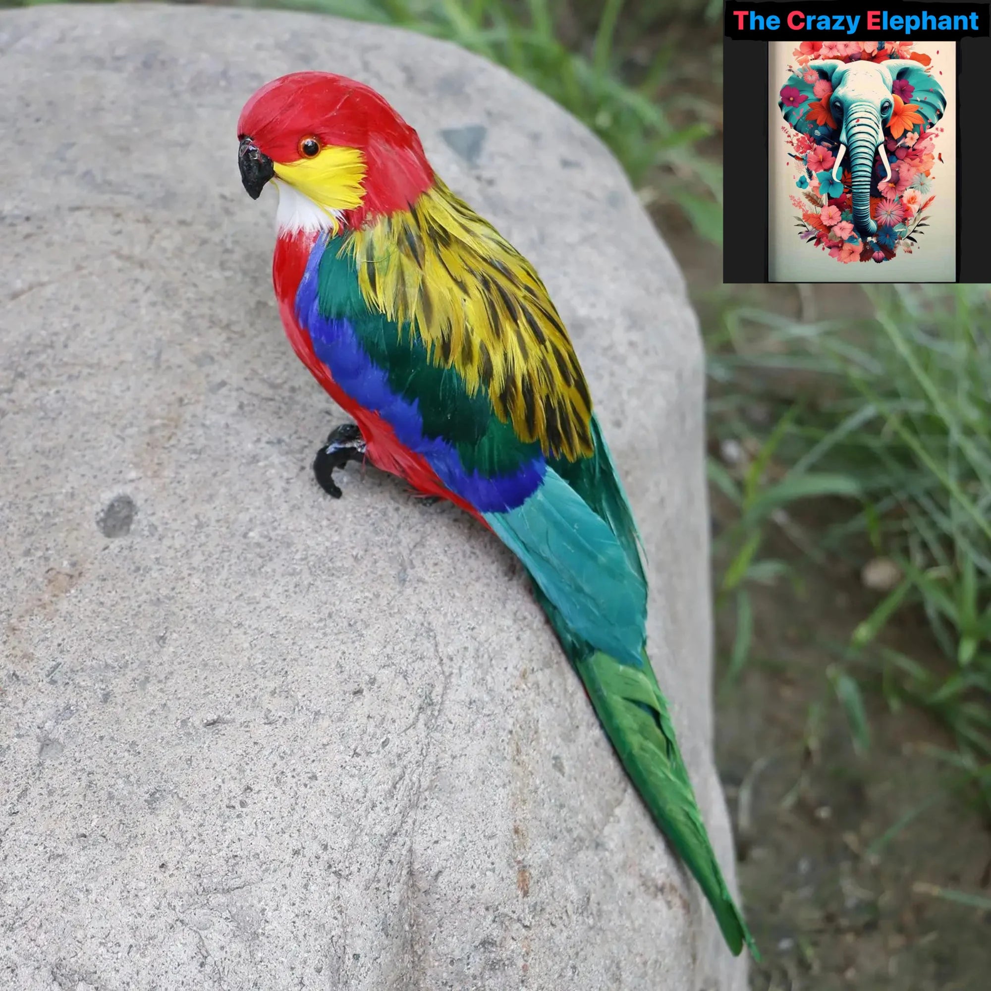 Vibrant Feather Parrot Macaw Statue: Tropical Home Decor