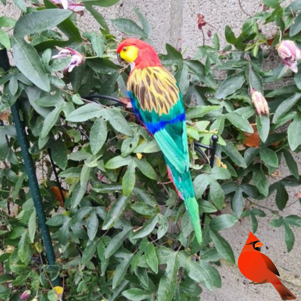 Vibrant Feather Parrot Macaw Statue: Tropical Home Decor